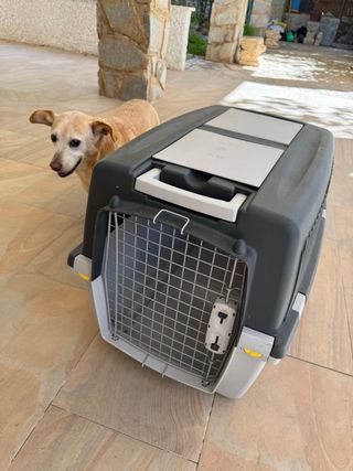 TRANSPORTIN PERROS GRANDE XXL