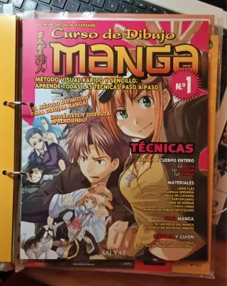 Curso De Manga