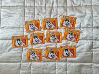 10 Bustine Cucciolotti 2019