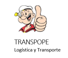 CONDUCTOR PROFESIONAL