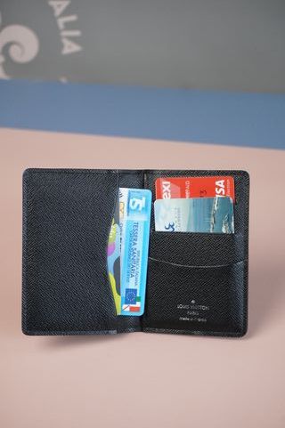 Louis Vuitton Damier Graphite Organizer