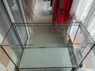 Acuario / Urna de cristal