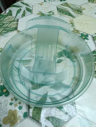 Pecera tortugas acuario transparente