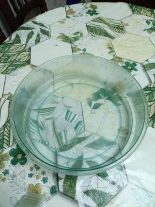 Pecera tortugas acuario transparente