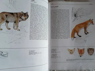 Libro de animales