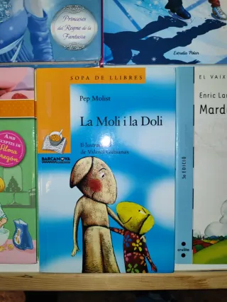 Lot 5 llibres en català