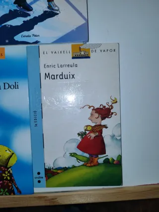 Lot 5 llibres en català