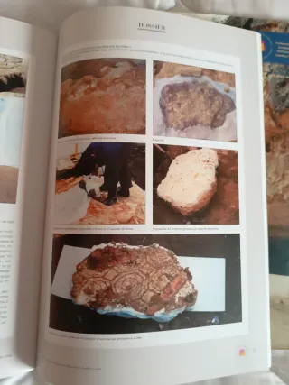 Revistas: patrimonio y sierra de la demanda algasa