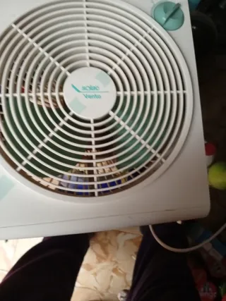 Ventilador Solac Vento