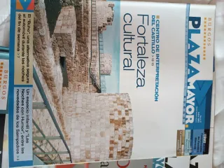 Revistas de plaza de Burgos y de caja círculo