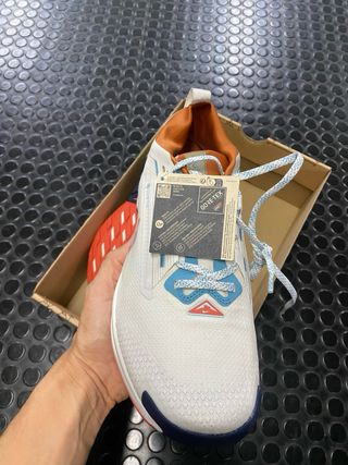 Nike Pegasus Trail 5 Gore-Tex