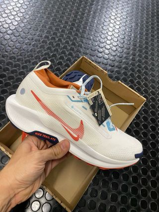 Nike Pegasus Trail 5 Gore-Tex