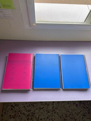 Toda la coleccion PN escala ejecutiva