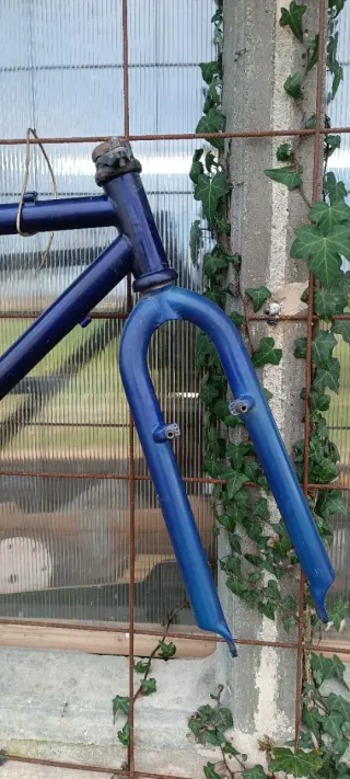 Cuadro BTT Alpinestars Cro-Mega Azul