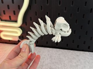 Esqueleto Piraña Articulado