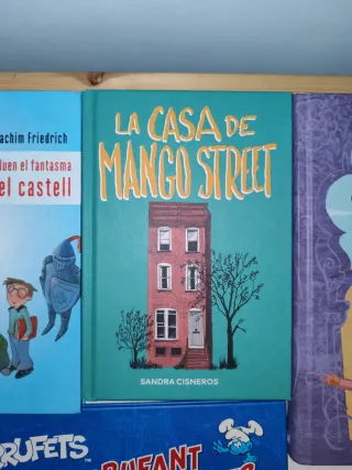 Lot 6 llibres en català