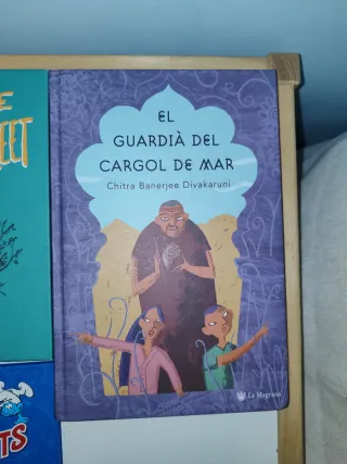 Lot 6 llibres en català