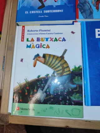 Lot 6 llibres en català