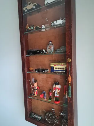 Vitrina expositora coleccionista