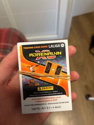 Cromos Panini Adrenalyn XL