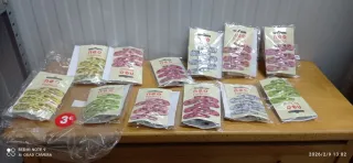 Pasadores de pelo con estampado floral TODO 3€