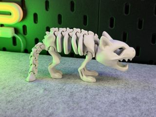 Esqueleto articulado de gato