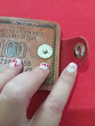 Portafoglio stile banconota da 100$