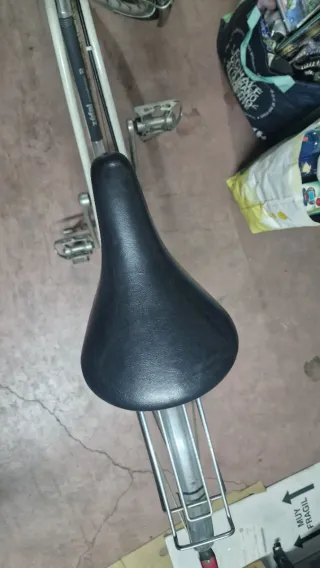 Bicicleta retro vintage