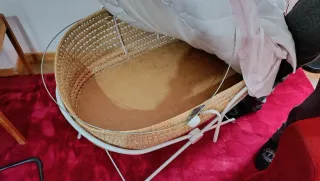 Cuna Moisés Bebé Rosa con Soporte