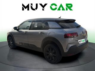 Citroen C4 Cactus PureTech 110 S&S Origins EAT6 81 kW (110 CV)