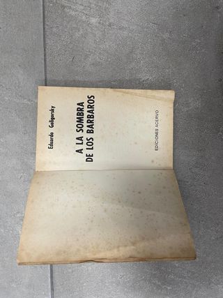 A la sombra de los Bárbaros