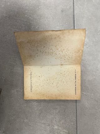 A la sombra de los Bárbaros