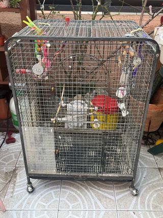 Jaula para pájaros o roedores