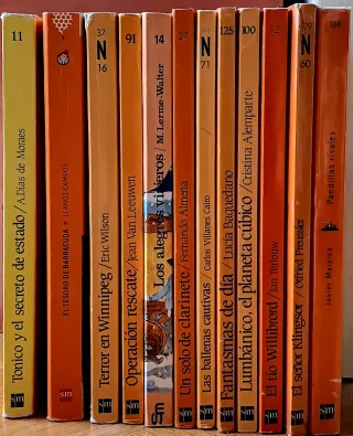 12 Libros Barco de Vapor Serie Naranja.