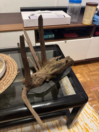 Tronco natural madera acuario