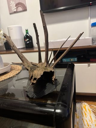 Tronco natural madera acuario