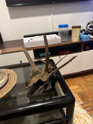 Tronco natural madera acuario