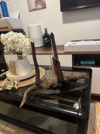 Tronco natural madera acuario