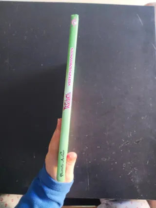 Nuevos horizontes: Witch 17