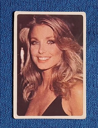 Calendário de bolso Heather Thomas