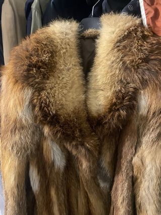 Abrigo de zorro natural