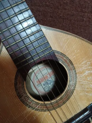 Bandurria Telesforo Julve coleccionista