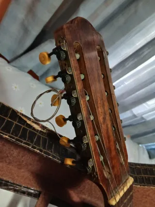 Bandurria Telesforo Julve coleccionista