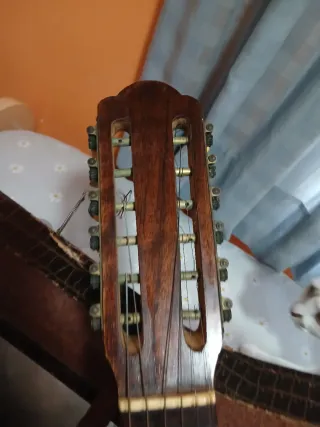 Bandurria Telesforo Julve coleccionista