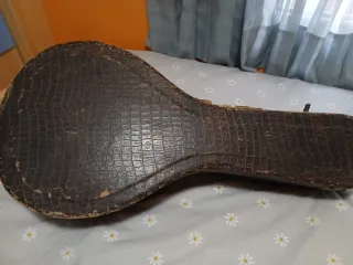 Bandurria Telesforo Julve coleccionista