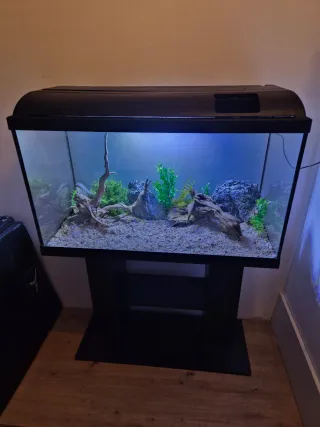 ACUARIO COMPLETO 140L, pecera, terrario