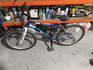 Bicicleta de montaña morada