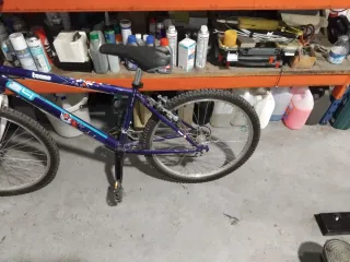 Bicicleta de montaña morada