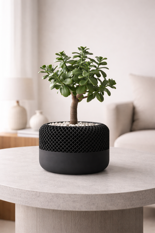 Vaso Decorativo Minimalista Preto