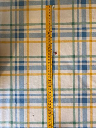 Catenina veneziana coccinella argento 925